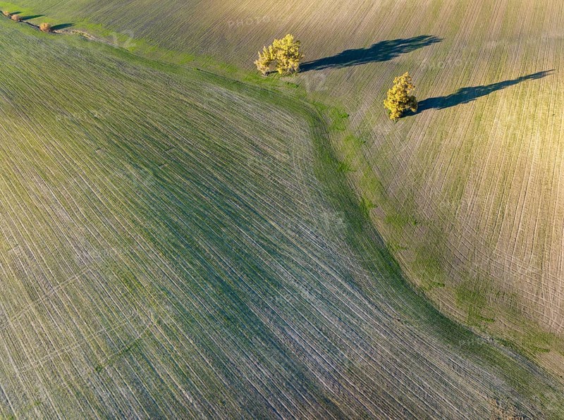 Cultivated fields in winter in the Campiña Cordobesa, the fertile rural area south of the town of Córdoba, aerial view, drone shot, Córdoba province, Andalusia, Spain, Europe