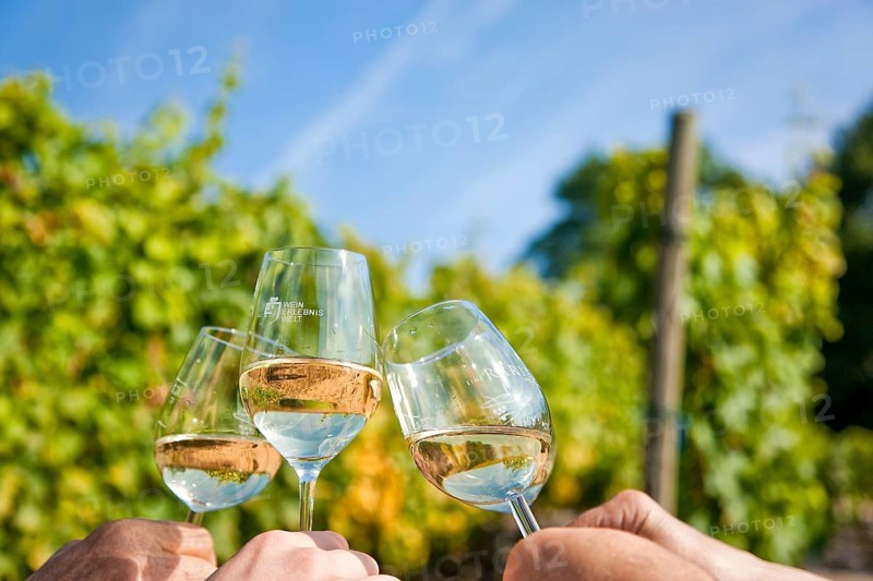 Not far from the Boselspitze, leaning towards the Elbe, is the vineyard known as the Rote Presse . The ochre-coloured vineyard cottage with its pointed roof, also known as the Swallow's Nest, is visible from afar