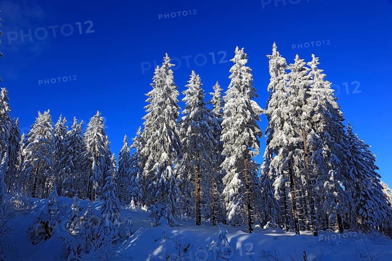 Winter landscape in the Fichtelgebirge, Bayreuth district, Upper Franconia, Bavaria, Germany, Europe