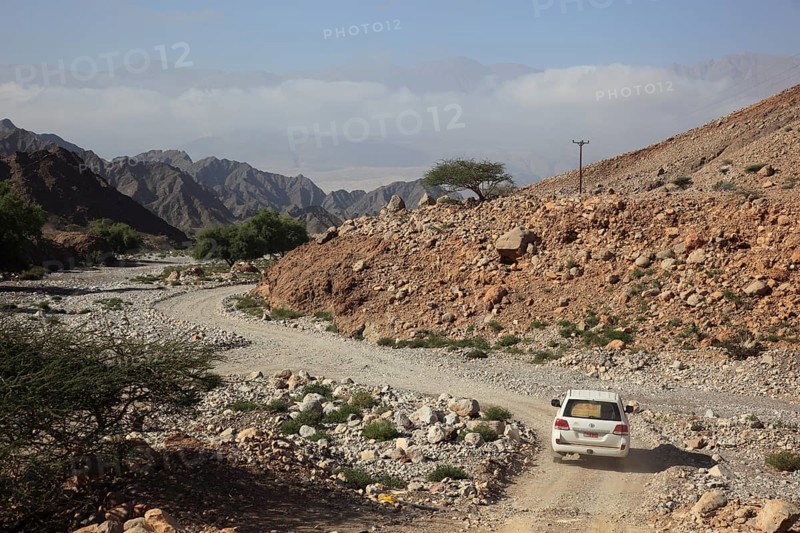 Wadi at Al-Jabal al Akhdar, Batinah Region, Oman, Asia