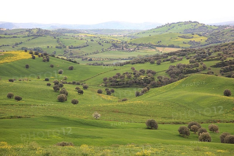 Landscape near Noto in the province of Syracuse, Sicily, Italy, Europe