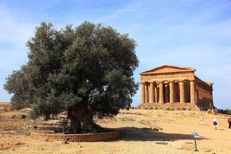 In the Parco Valle dei Templi di Agrigento, Unesco World Heritage Site, remains of the ancient city of Akragas in the Valley of the Temples of Agrigento, the Temple of Concordia, Sicily, Italy, Europe
