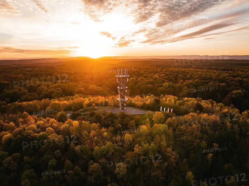Aerial view of the Schönbuchturm in autumn forest at sunrise, Herrenberg, Germany, Europe