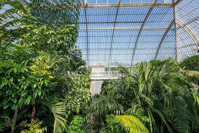 Palm House, oldest Victorian greenhouse in the world, Royal Botanic Gardens, Kew, London, England, Great Britain