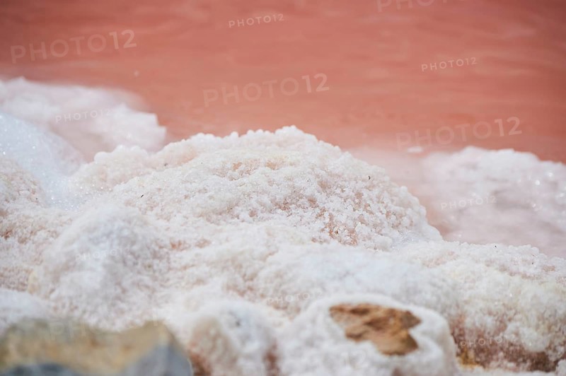 Salt crust at the waters edge of a little salt water pond for industrial salt production, Aigues-Mortes, Camargue, France, Europe