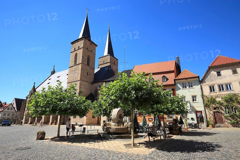 Catholic parish church of St Mary of the Rosary and St Regiswindis, also known as Steigerwald Cathedral, Gerolzhofen, district of Schweinfurt, Lower Franconia, Bavaria, Germany, Europe