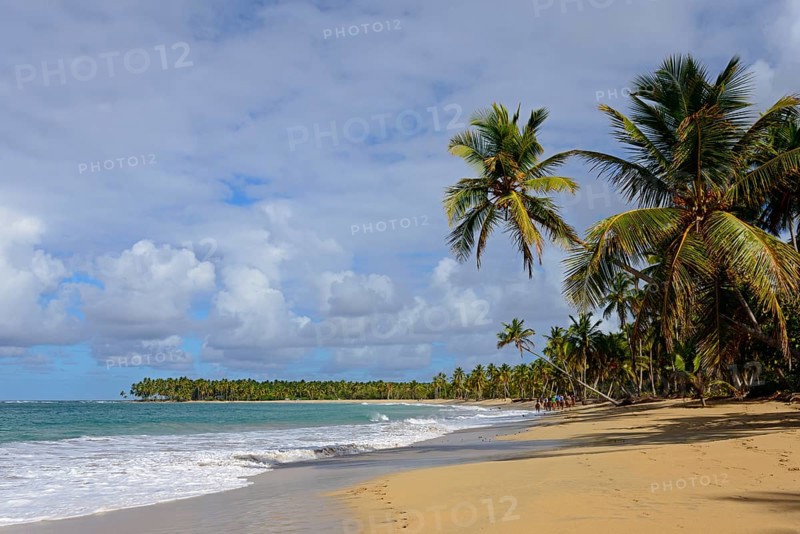A lonely beach with coconut palms under a slightly cloudy sky near a calm sea, Limon beach, El Limón, El Seibo, Dominican Republic, Hispaniola, Caribbean, America, Central America