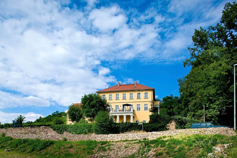 The Zechsteinweg continues past the Zechsteinhaus, a 17th century winery with extensive vineyards and woodland. It has been lovingly renovated in recent years and the vineyard belonging to it has been replanted by local winegrower Friedrich Aust