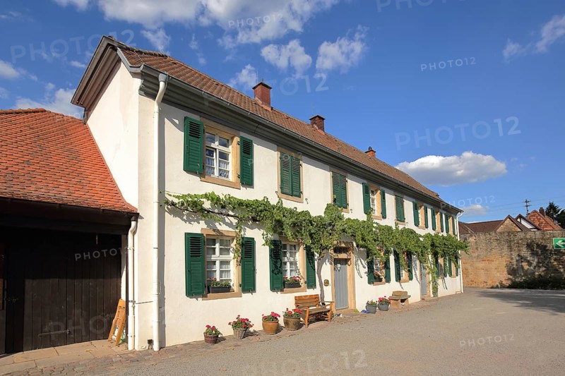 Building with shutters and vines in the courtyard of the Herrenhof in Mußbach, Neustadt an der Weinstraße, Rhineland-Palatinate, Germany, Europe