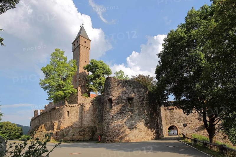 Castle built 1270 in Hirschhorn am Neckar, Neckar Valley, Odenwald, Hesse, Germany, Europe