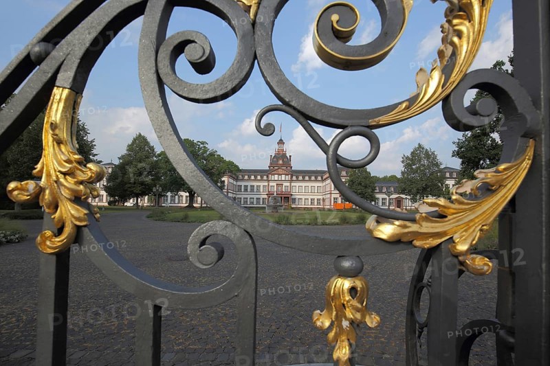 View through golden metal grids to Philippsruhe Castle, ornamentation, detail, Kesselstadt, Hanau, Hesse, Germany, Europe