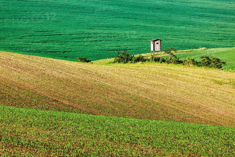 Rural Europe background, Moravian rolling landscape with hunting tower shack on sunset. Moravia, Czech Republic, Europe