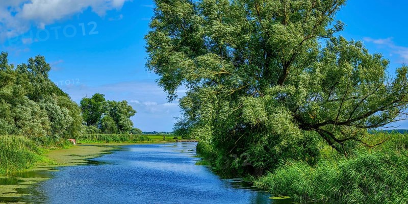 Picturesque river landscape, view from the heritage-protected wooden bascule bridge over the Trebel near Nehringen, municipality of Grammendorf, Mecklenburg-Western Pomerania, Germany, Europe