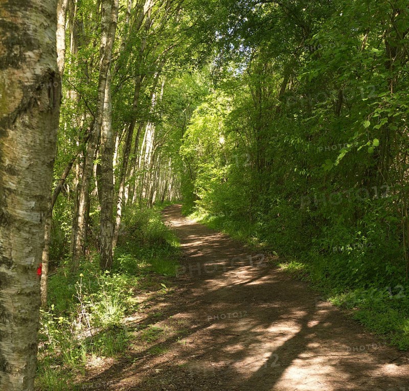 Biking and hiking trail at Mechower See. in the Schaalsee UNESCO Biosphere Reserve in Northwest Mecklenburg, Mechower See, Schlagsdorf, Mecklenburg-Western Pomerania, Germany, Europe