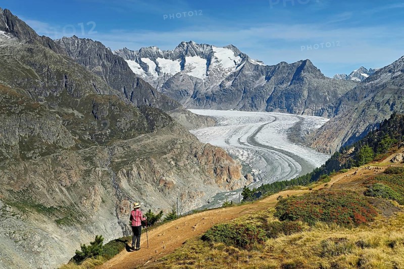 Hiker in front of the Great Aletsch Glacier, the heart of the Jungfrau-Aletsch-Bietschhorn UNESCO World Heritage Site, Goms, Canton Valais, Switzerland, Europe