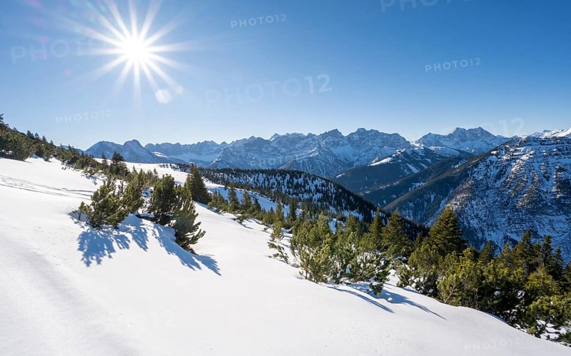 Mountain pines in the snow, ski tour to Schafreuter, view of snowy mountain panorama, Karwendel, Tyrol, Austria, Europe