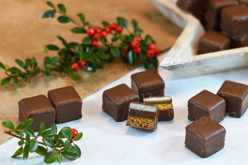 German traditional sweets called Dominosteine, food sold around Christmas season consisting of gingerbread, jelly and marzipan layers and covered with chocolate icing