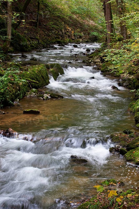 Mountain stream, Zellerache flows through the Helenental, Mondsee, Mondseeland, Salzkammergut, Upper Austria, Austria, Europe
