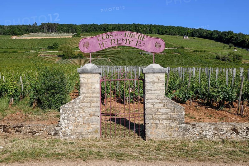 Stone gate at the vineyard of the Clos de la Roche winery, Route des Grand-Crus, Route of Fine Wines, near Morey-Saint-Denis, Côte-d'Or department, Bourgogne-Franche-Comté, Burgundy, France, Europe