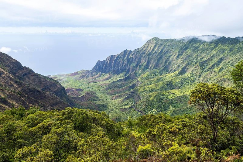 Kalalau Valley, Koke?e State Park, Na Pali Coast, Kauai, Hawaii, USA, North America
