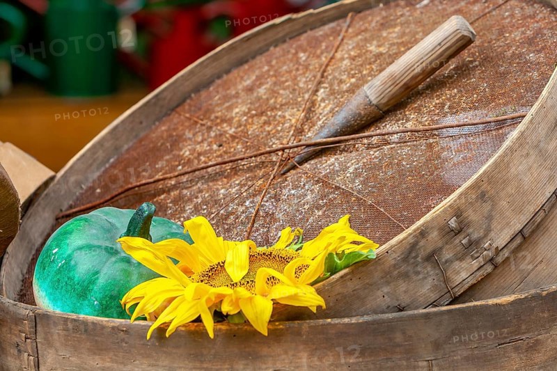 Old garden tools, pricking stick and sieve, Germany, Europe