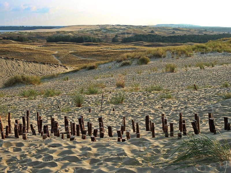 The Parnidis Dune in the Curonian Spit National Park is one of the largest shifting sand dunes in Europe. Fortifications with piles serve to stabilise it. In the background the Curonian Lagoon, Parnidis Dune, Nida, Curonian Spit, Lithuania, Europe