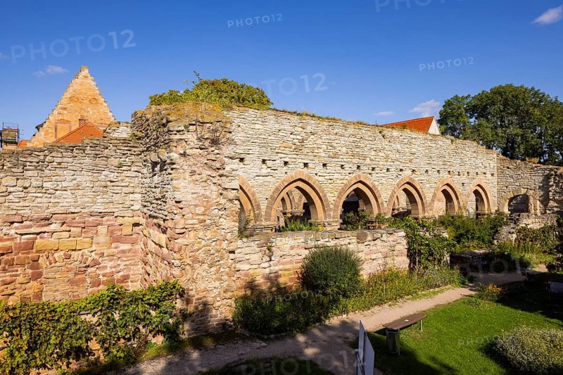 Memleben Monastery and presumed imperial palace, Memleben, Saxony-Anhalt, Germany, Europe