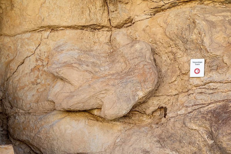 Golden, Colorado, A triceratops footprint along the Triceratops Trail. The trail in suburban Denver allows access to footprints of dinosaurs and traces of other animals and plants from the Late Cretaceous period. The fossils are located in a former clay mine