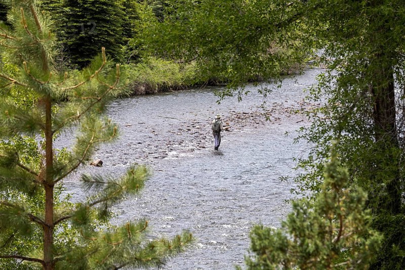 Fox Creek, Colorado, Fishing in the Conejos River in Rio Grande National Forest