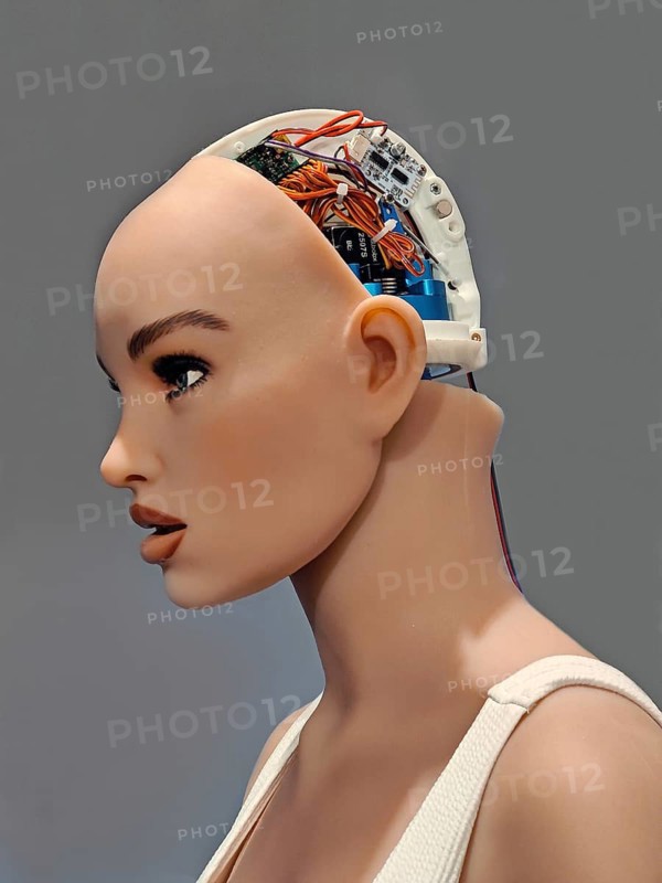 Exposed head section with electronics of the Harmony sex doll as an exhibit on artificial intelligence