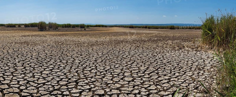 Heavily desiccated soil of Lake Neusiedl, Lake Neusiedl-Seewinkel National Park, Illmitz, Burgenland, Austria, Europe