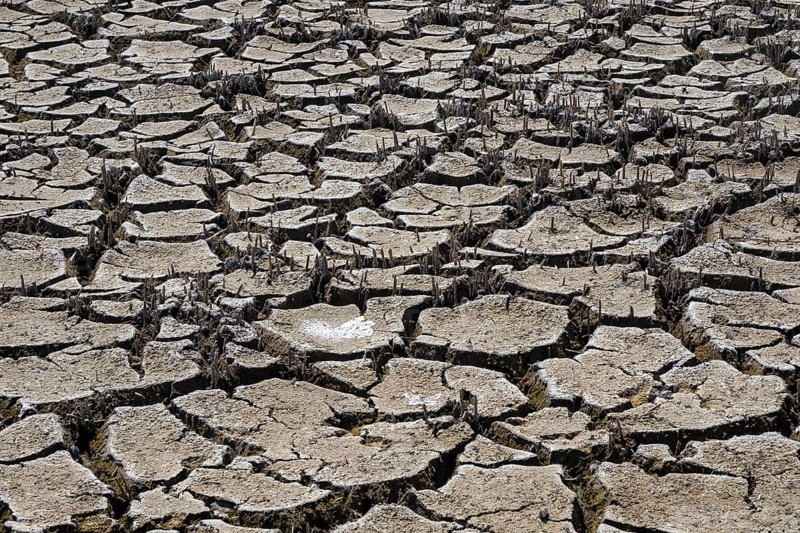 Heavily desiccated soil of Lake Neusiedl, Lake Neusiedl-Seewinkel National Park, Illmitz, Burgenland, Austria, Europe