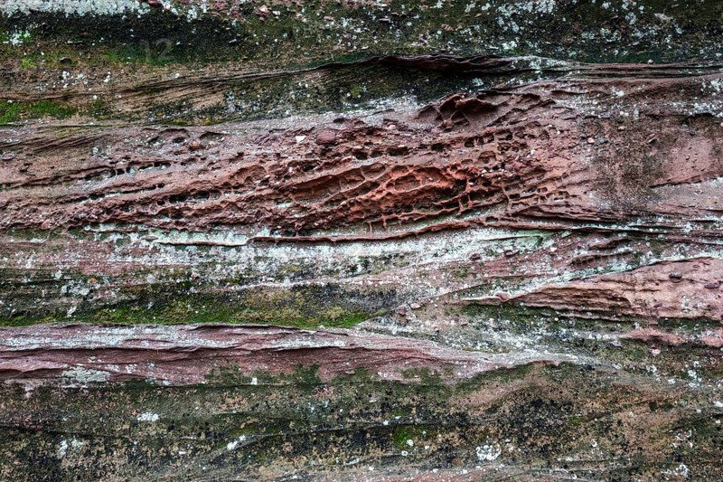 Eroded red sandstone, old castle rock, close-up, natural and cultural monument, Brechenberg near Eppenbrunn, Palatinate Forest, Rhineland-Palatinate, Germany, Europe