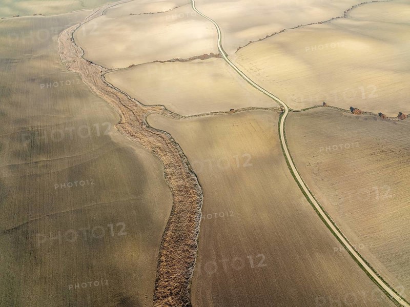 Cultivated fields in winter in the Campiña Cordobesa, the fertile rural area south of the town of Córdoba, aerial view, drone shot, Córdoba province, Andalusia, Spain, Europe