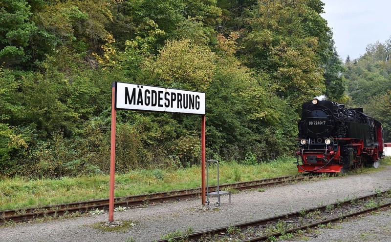 Selketalbahn, Harzer Schmalspurbahn, Brockenbahn runs through the Harz Mountains, Saxony-Anhalt, Germany, Europe