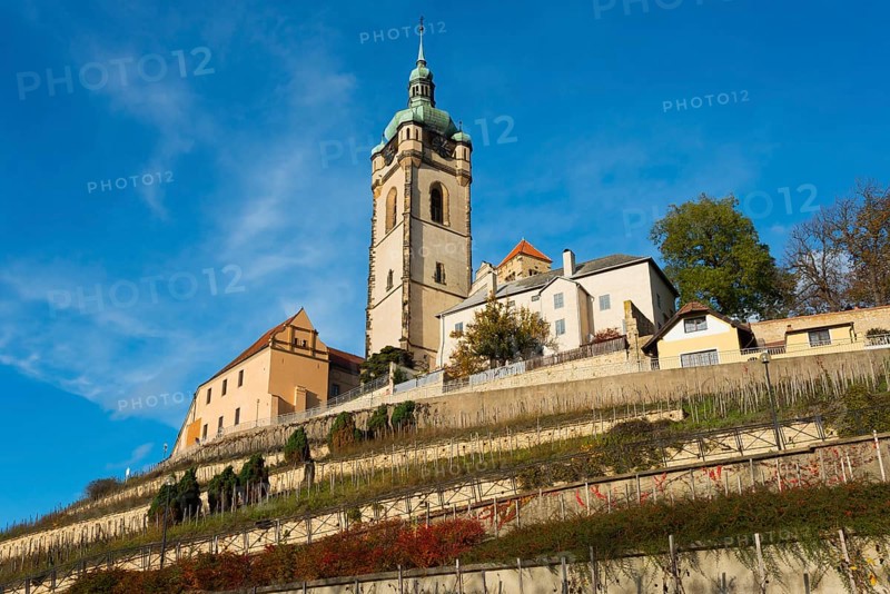 Church with surrounding buildings on a vineyard hill, on a clear day, Melnik Castle, Church of St Peter and Paul, Melnik, Melnick, Central Bohemia, Czech Republic, Europe