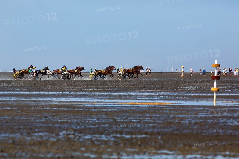 Horses with sulky, trotters, horse-drawn carriage, trotting race in the mudflats, Duhner Wattrennen 2019, Duhnen, Cuxhaven, UNESCO World Heritage Wadden Sea, North Sea, Lower Saxony, Germany, Europe