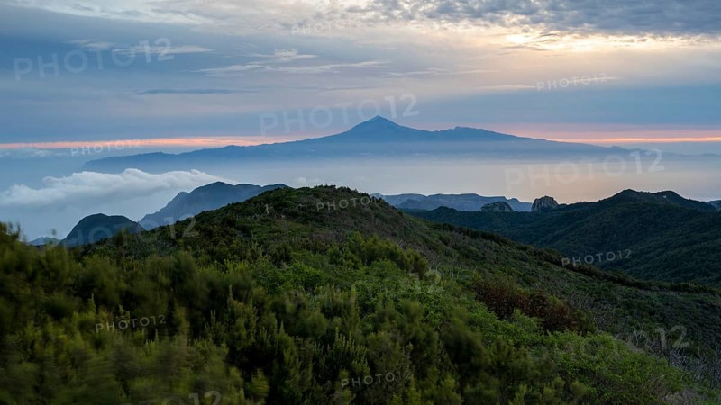 Sunrise, view of Mount Teide from Alto de Garajonay, Tenerife, Garajonay National Park, La Gomera, Canary Island, Spain, Europe