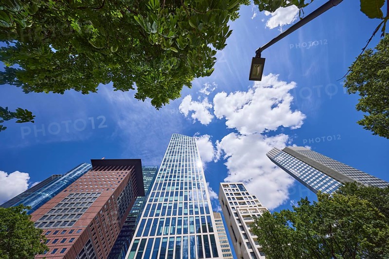 Skyscraper Japan Centre, Taunus Tower, a lantern and chestnut tree under blue sky with small cumulus clouds from the frog perspective in Frankfurt am Main, Hesse, Germany, Europe