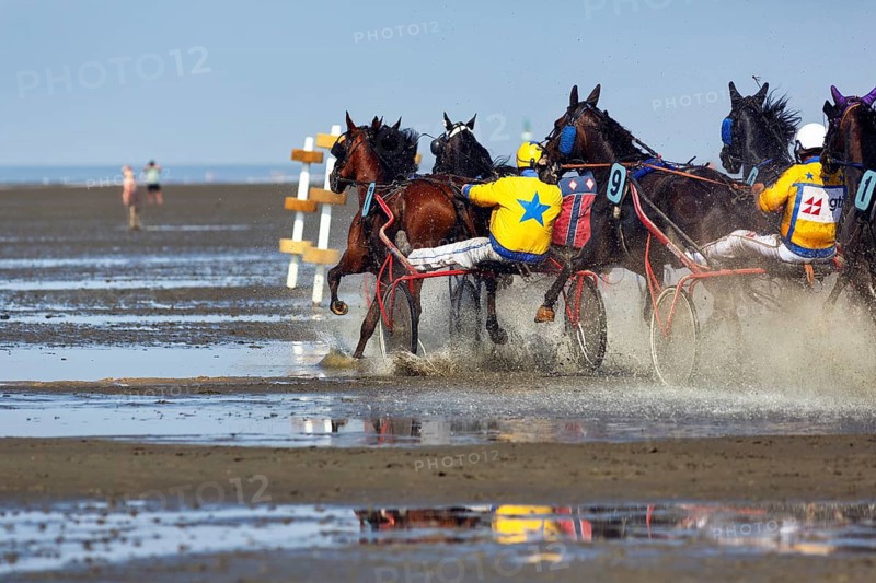 Horses with sulky, trotters, horse-drawn carriage, trotting race in the mudflats, Duhner Wattrennen 2019, Duhnen, Cuxhaven, UNESCO World Heritage Wadden Sea, North Sea, Lower Saxony, Germany, Europe