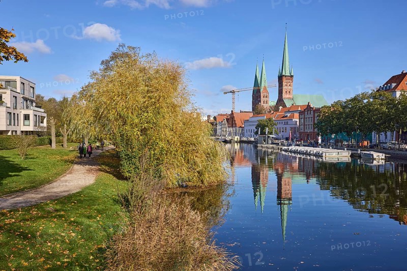 Babylon willow (Salix babylonica) on the banks of the river Trave, autumn leaves, church towers of St. Petrie and St. Marien, reflections on the water surface, Hanseatic city of Lübeck, independent city, Schleswig-Holstein, Germany, Europe