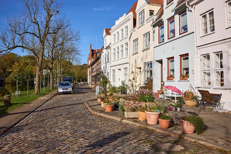 Street An der Obertrave with historic buildings, cobblestone pavement, bare trees, flower pots with plants, Old Town, Hanseatic City of Lübeck, independent city, Schleswig-Holstein, Germany, Europe