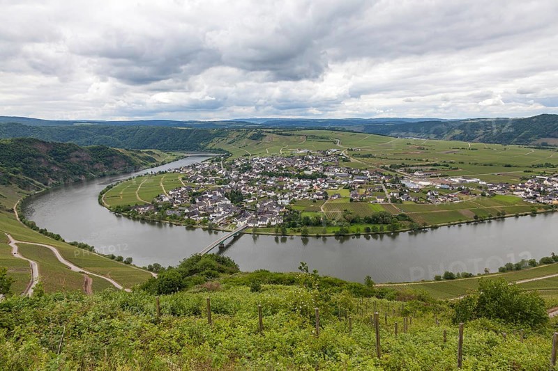 View of the Moselle bend near Piesport, Moselle, Bernkastel-Wittlich district, Rhineland-Palatinate, Germany, Europe