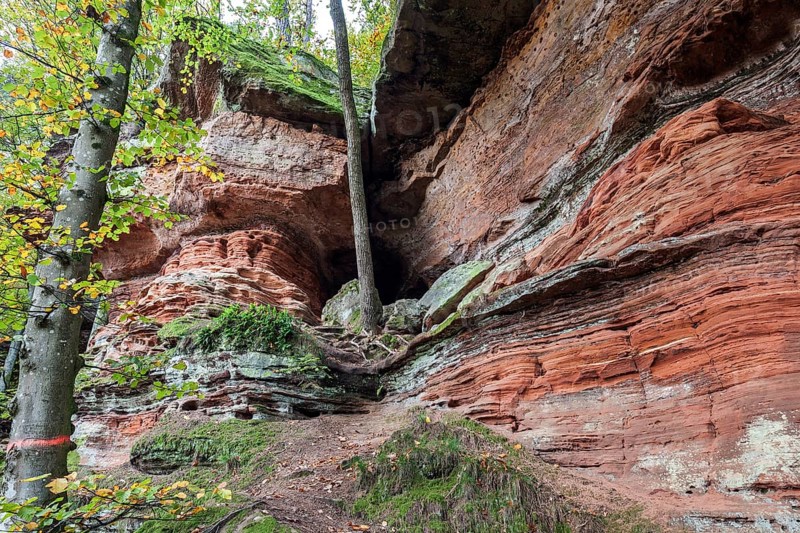 Old castle rock, red sandstone rock formation, natural and cultural monument, Brechenberg near Eppenbrunn, Palatinate Forest, Rhineland-Palatinate, Germany, Europe