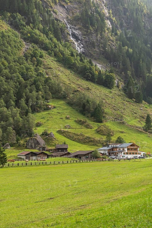 Hiking trail in Stilluptal, Gasthof Stilluper Haus, Stillupgrund, Mayrhofen, Zillertal Alps High Mountain nature park Park, agriculture, Alpine pastures, Tyrol, Austria, Europe