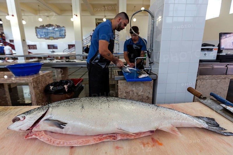 Fish hall, fish market, market hall Mercado dos Lavradores, Funchal, Madeira Island, Portugal, Europe