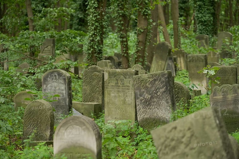 Gravestones, Jewish cemetery at Okopowa Street, Warsaw, Mazovian Voivodeship, Poland, Europe