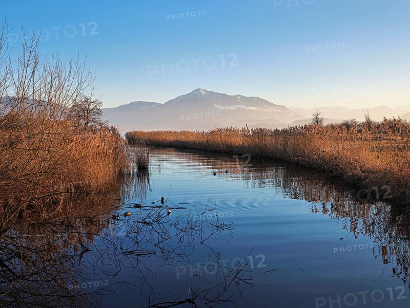Lorze flows into Lake Zug, Rigi in the background, view of the Alps. Cham, Canton of Zug, Switzerland, Europe