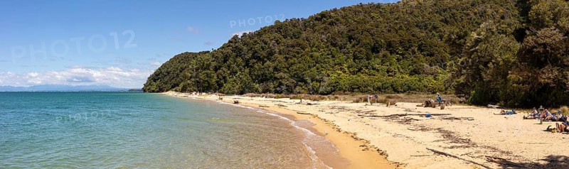 Abel Tasman Coast Track, Apple-Tree-Bay, Kaiteriteri, New Zealand, Oceania