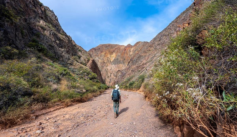 Mountaineer in a canyon with a dry stream bed, eroded mountain landscape with red sandstone rocks, Konorchek Canyon, Chuy, Kyrgyzstan, Asia